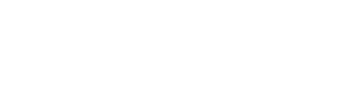 IMDA logo