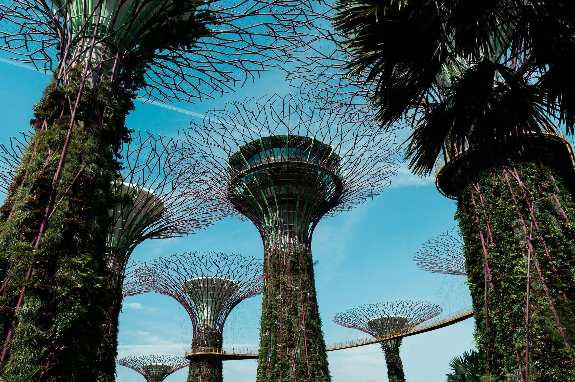 Introduction section illustration